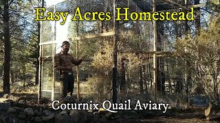 Coturnix Quail Aviary DIY Off Grid More Birds for the Homestead [upl. by Rehposirhc885]