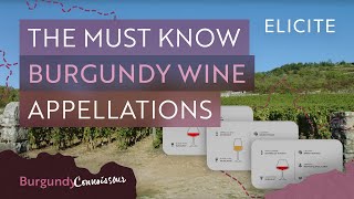 The Complete Guide To Key Burgundy Appellations [upl. by Aihtyc]