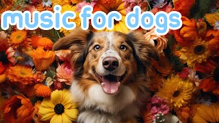 Calming Music for Dogs 24 HOURS  Separation Anxiety Relief [upl. by Eednac]