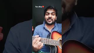 Tere Bina Na Guzara  Satinder Sartaaj  Neeru Bajwa  guitarcover [upl. by Erbe]