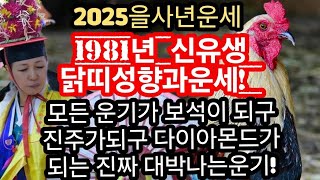 2025년 을사년 1981년 신유생 닭띠운세 이제는 보석이 되구 금전이 되구 다이아몬드가 되야되는 운세 나 자신을 믿으면 모든일들이 잘 풀리구 재물이 점점 늘어납니다 [upl. by Byrdie]