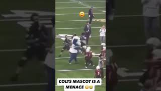 Colts Mascot Causes Chaos Blues Antics Steal the Show vs Vikings NFL Shorts Colts hilarious [upl. by Tito]