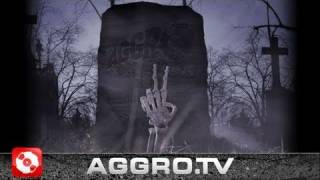 2 JAHRE AGGRO BERLIN R I P OFFICIAL HD VERSION AGGROTV [upl. by Pete953]