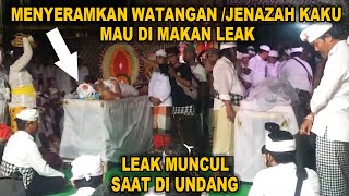 MERINDING  LEAK MENGINTAI MANGSANYA SAAT PEMENTASAN CALONARANG WATANGAN JENAZAH KAKU SUMERTA 2019 [upl. by Arretnahs]