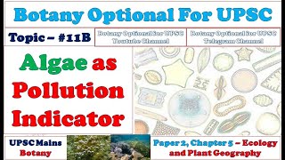 Algae As Water Pollution Indicator Phytoplanktons Desmids Diatoms Algae As Biological Indicator [upl. by Eceinal]