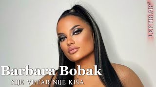 Barbara Bobak  Nije vetar nije kiša cover [upl. by Nuavahs411]