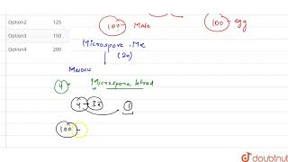 How many meiotic divisions are essential in formation of 100 seeds in Cyperaceae family [upl. by Belsky]