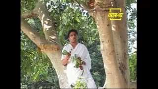 Ayurvedic use Cluster Fig Guller [upl. by Alburga71]