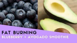 Blueberry  Avocado Fat Burning Smoothie Recipe [upl. by Alfeus212]