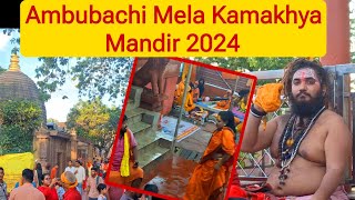 Kamakhya mandir Ambubachi Mela 2024 की तैयारी  tantrik sadhu bhakt ka maha samagam [upl. by Darnell]