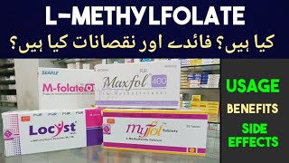 L Methylfolate tablets Uses Benefits amp Side Effects In UrduHindi  Locyst Myfol M folate Maxfol [upl. by Ahsekin631]