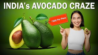 How Indians Fell In Love With Avocados  Avocado Toast  Avocado Salad  Avocado Recipes  Avocado [upl. by Bartolemo]