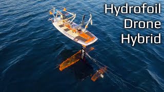 Drone Motors on a Hydrofoil Surfboard [upl. by Hilel]