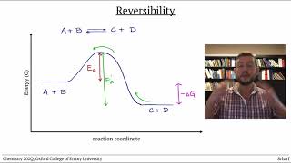 Equilibrium 1 Reversibility [upl. by Harsho]