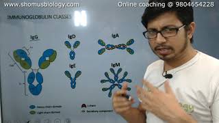 Antibody structure and function  Immunoglobulin [upl. by Layman]