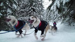 BELLES IMAGES  Etape 5  Pralognan la Vanoise [upl. by Valora]