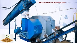 Biomass Pellet Machine  Biomass Pellet Manufacturing Process [upl. by Burkhardt]