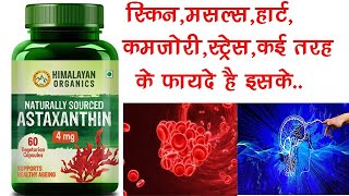 Astaxanthin Capsule Benefits Dosage Side Effects  Himalayan Organics ✅ [upl. by Yerahcaz]