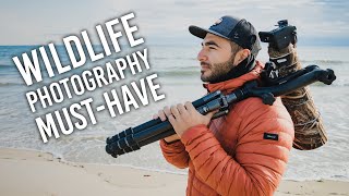 Gimbal Heads A Wildlife Photography MUSTHAVE And How to Use It [upl. by Riamo]