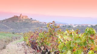 S2 Ep23 Rioja Four lovely recommendations from the newest Old World wine region this winter [upl. by Erodroeht451]