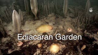 Ediacaran Garden the first animals [upl. by Marcus300]