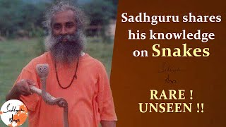 Sadhguru shares his knowledge on SNAKES  Sadguru Isha [upl. by Lehctim]