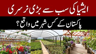 ایشیا کی سب سے بڑی نرسری پاکستان کے کس شہر میں واقع؟  Asias Largest Nursery  Pakistan [upl. by Ludovick559]