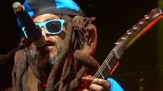 Steel Pulse  Worth His Weight in Gold Rally Round  live in France 2015 [upl. by Deland]