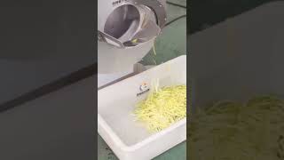 Large Capacity Mango Shredding Slicing Cutting Machine mangocutting mangoslice [upl. by Aubree]