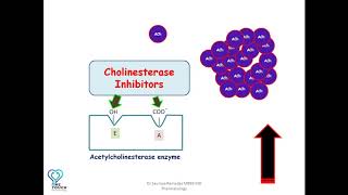 MOA of Cholinesterase inhibitorsAnticholinesterases edrophonium neostigmine  Organophosphates [upl. by Lytle]