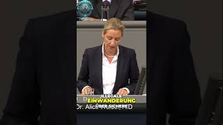 Alice Weidel Die Gefahren der EuroRettungspolitik  Verlust der Souveränität [upl. by Esom493]