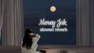 Morey Jak slowed reverb Pritom hasan [upl. by Adnirb]