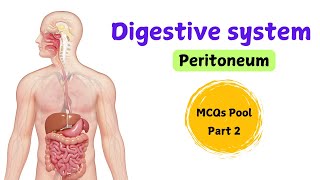 Digestive system  Peritoneum  MCQs Pool  Part 2 [upl. by Marston]