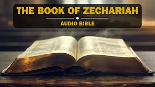 Audio Bible  The Book of Zechariah NIV  New International Version  FullLength Narration [upl. by Asselem790]