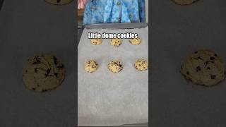 Questionable chocolate chip cookies 🍪 [upl. by Oneil]