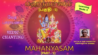 MAHANYASAM  PART  5  Learning Mode [upl. by Heron]