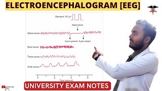 Electroencephalogram EEG  CNS Physiology [upl. by Irac]