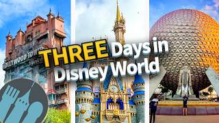 The ULTIMATE 3 Day Disney World Trip Itinerary [upl. by Eenafets246]