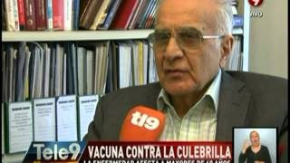 Vacuna contra la culebrilla La enfermedad afecta a mayores de 60 años [upl. by Tilford826]