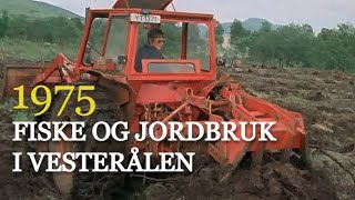 Fiske og jordbruk  er det fremtiden for Vesterålen 1975 [upl. by Geiger]