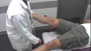 Lateral Collateral Ligament Stability Test [upl. by Ruder23]