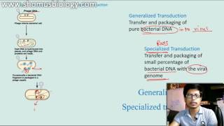 Generalized transduction vs Specialized Transduction [upl. by Kali]