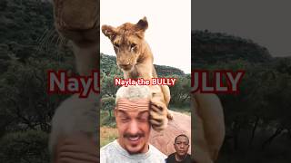 Nayla the BULLY  Dean Sneider animals deanschneider nayla lionking [upl. by Nobel787]