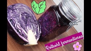 ❤ Rotkohl fermentieren ❤ [upl. by Enelad]