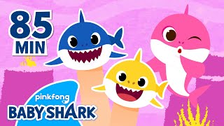 Baby Shark Loves Daddy Shark  Compilation  Baby Shark Songs  Baby Shark Official [upl. by Warfold]