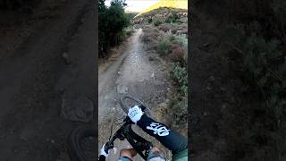 Oliver Tree 🔊 Monday Morning Hits Olidie But Goodie edm bike gopro mtb fun music [upl. by Kahle]