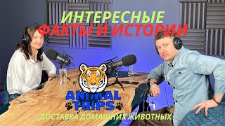 Секреты Перевозки Животных с Натальей Кулясовой  Подкаст от Animal Trips [upl. by Linis447]