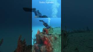 Divers explore CLAUSTROPHOBIC Shipwreck Markus Wipplinger [upl. by Sherourd]