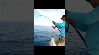 Reel Shimano Stella SW 8000 PG  Joran Daiwa Saltiga GX Vs Giant trevally Fish [upl. by Adnelg]