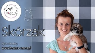 Skórzak [upl. by Harriot]